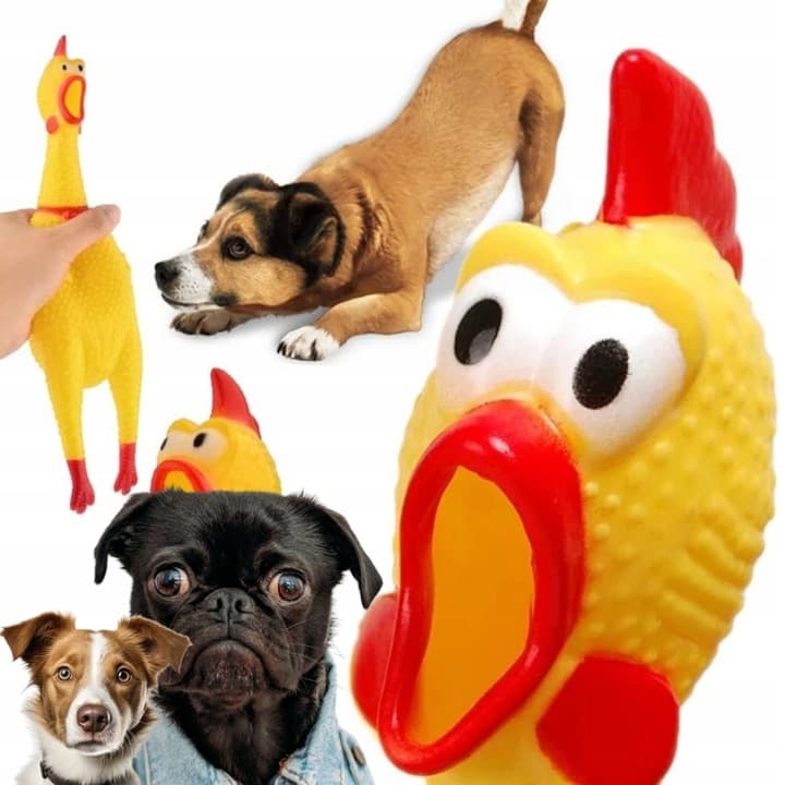 kurczak gumowy dla psa