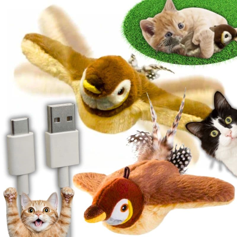Zabawka dla kota ptaszek USB