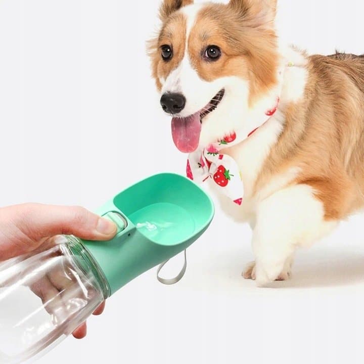 Miska dla psa poidło na wodę butelka MIĘTOWA