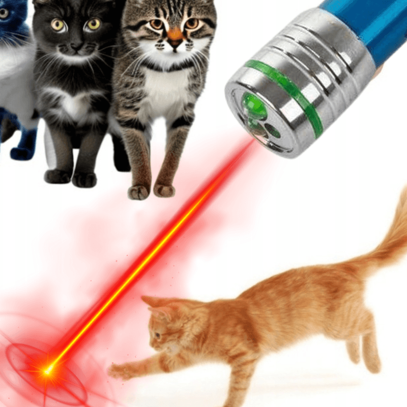 Laser brelok dla kota