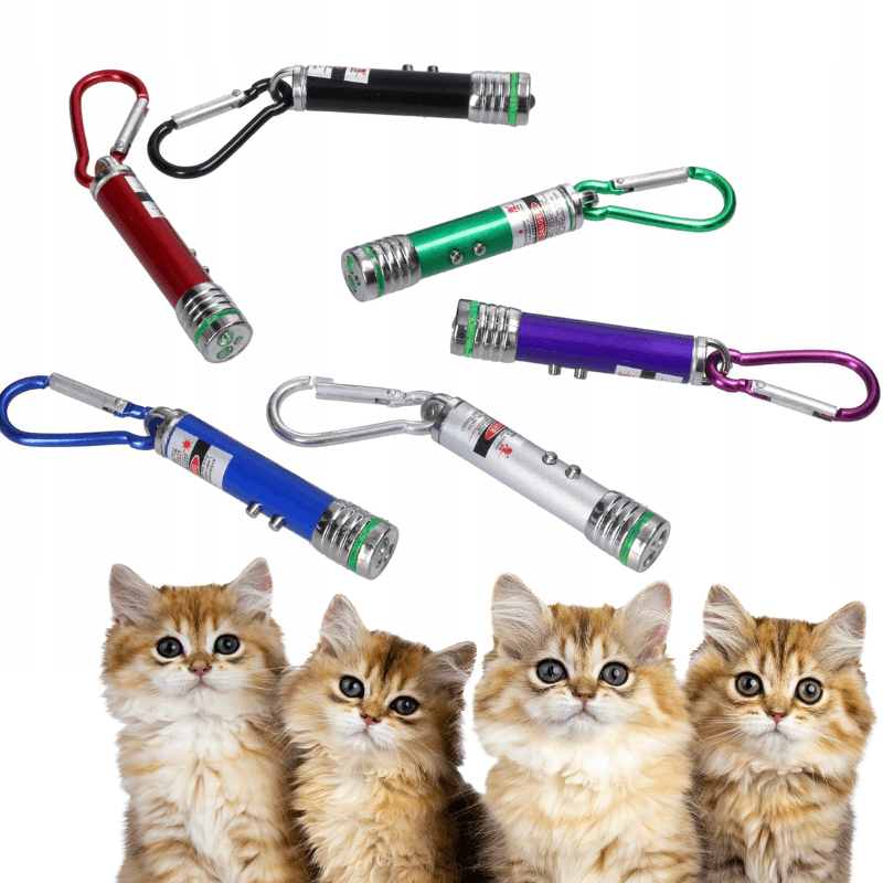 Laser brelok dla kota