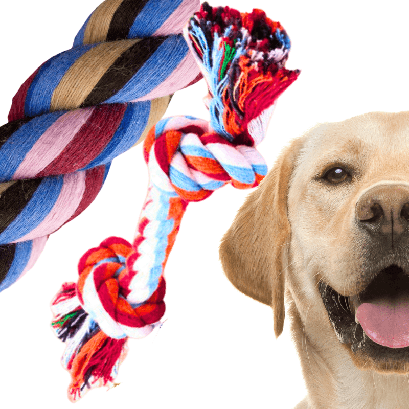 Szarpak dla psa Mały