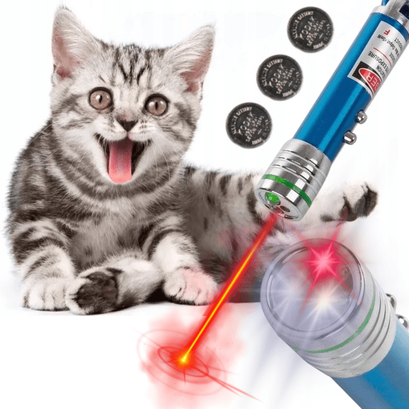 Laser brelok dla kota